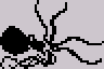 octopus_anim